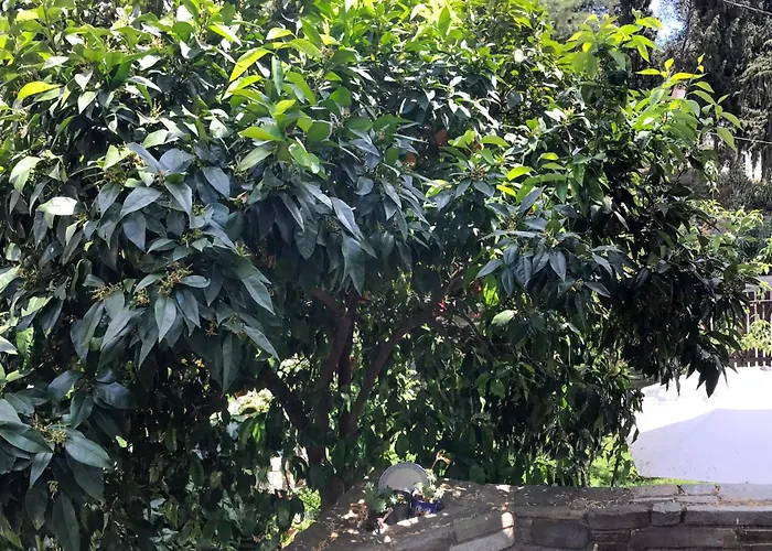 Mountain Breeze Sanctuary