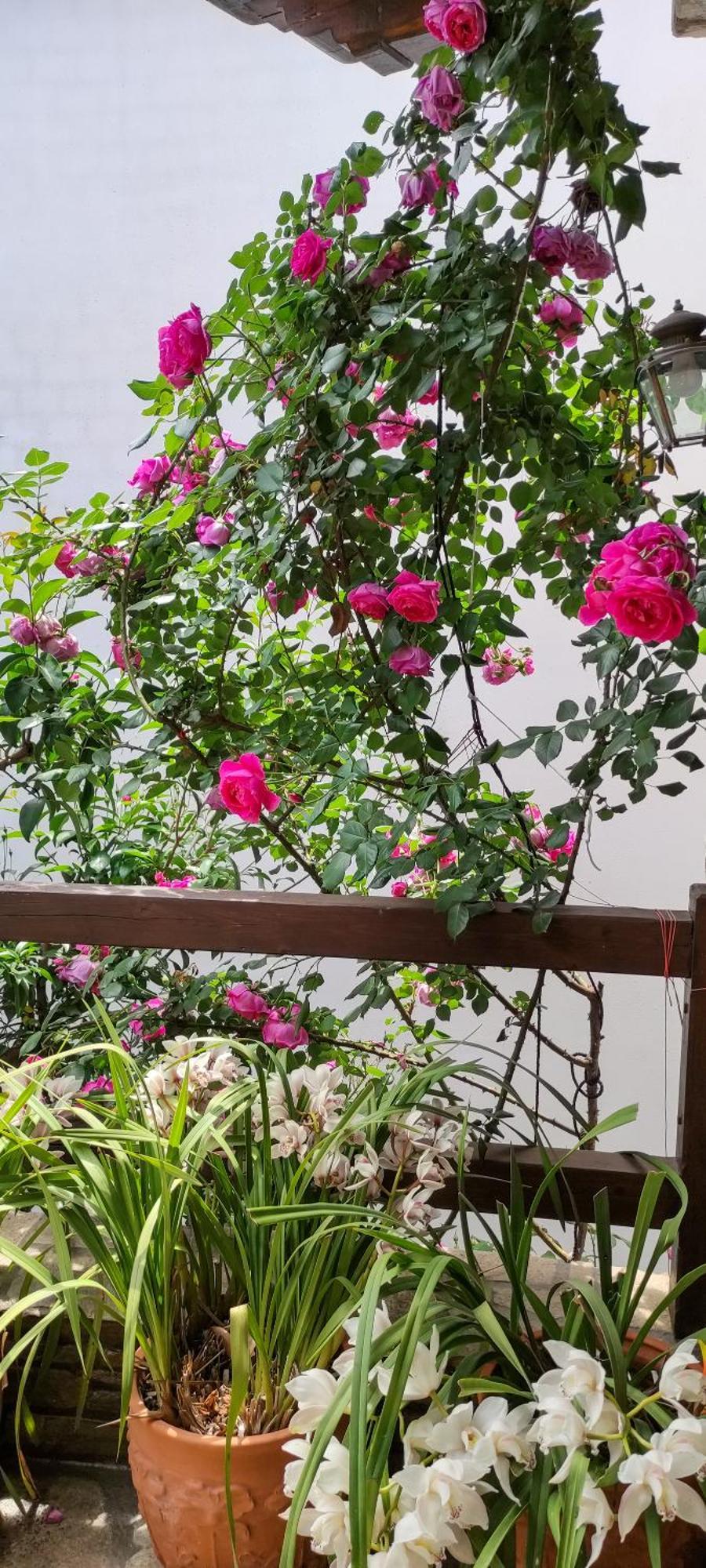 Holiday home Mountain Breeze Sanctuary Volos